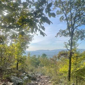 Meet your Posher, Adalin